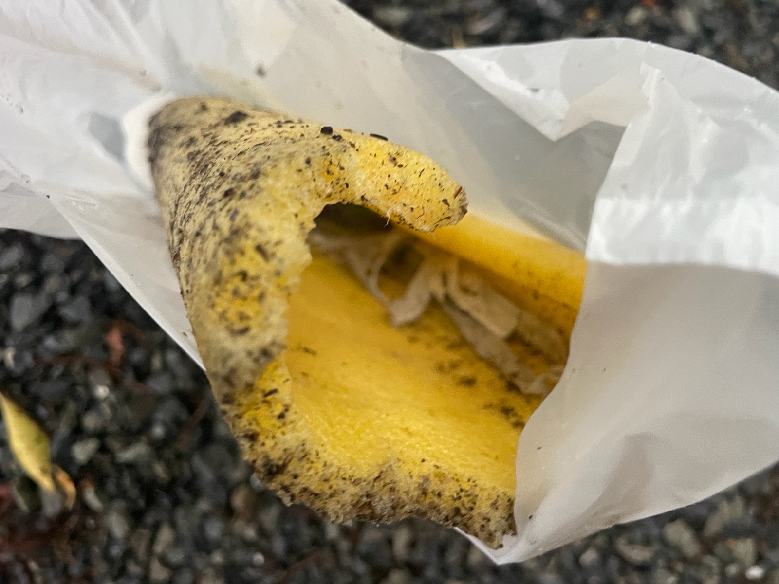 【工事14日目】北九州市小倉南区：匿名希望様　外壁塗装・屋根塗装　及び　その他塗装工事