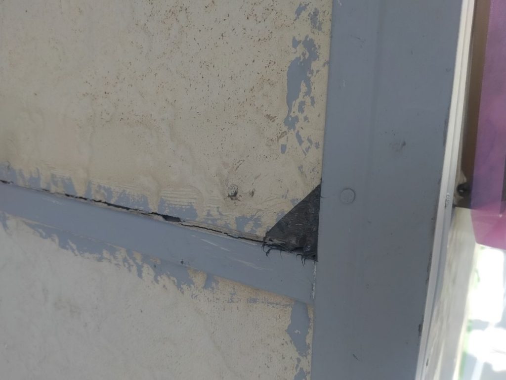 20240318kitakufsamatetubusabidome