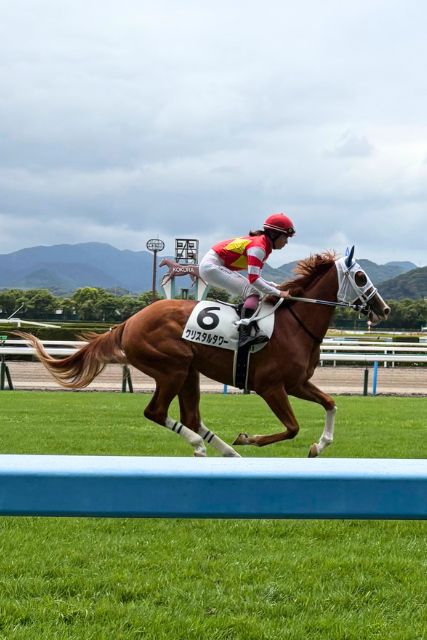 【いつも乗っているあの子が競馬場へ。小倉競馬で誘導馬の勇姿を見てきました!】スタッフブログを更新しました!