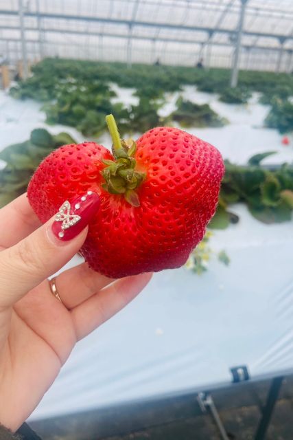 【食べて応援！娘の期末試験と我が家のグルメ週間】スタッフブログを更新しました！